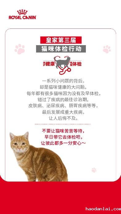 游戏结束