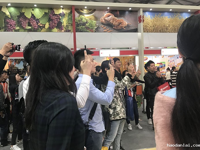 互动游戏，大屏互动游戏，手机互动游戏，小游戏定制，互动游戏开发